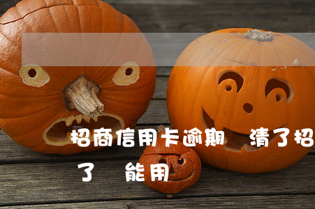 招商信用卡逾期還清了(招商信用卡逾期還清了還能用嗎)