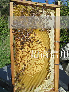 招商信用卡逾期還清后