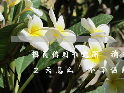 招商信用卡逾期還清多久放款(招商銀行逾期2天怎么還不了信用卡)
