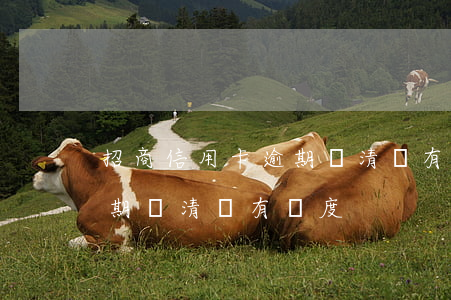 招商信用卡逾期還清還有額度(招商信用卡逾期還清還有額度)