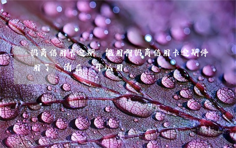 招商信用卡逾期還能用啊(招商信用卡逾期停用了還清后還可以用嗎)