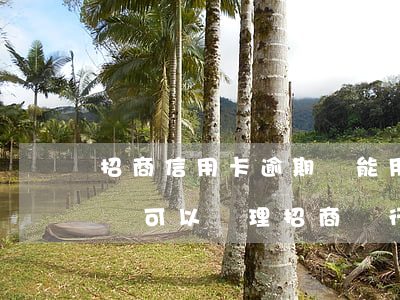 招商信用卡逾期還能用嗎(招商信用卡逾期過還可以辦理招商銀行卡嗎)