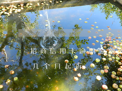 招商信用卡逾期金额多少会起诉-招商逾期几个月起诉