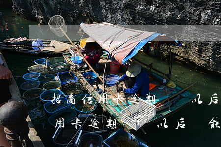 招商信用卡逾期銷戶以后還能辦嗎-招商信用卡逾期銷戶以后還能辦嗎
