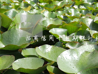 招商信用卡逾期银行起诉光大