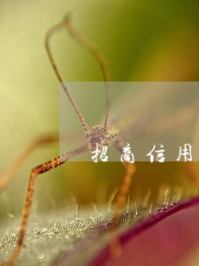 招商信用卡逾期開卡(招商銀行 信用卡 逾期)