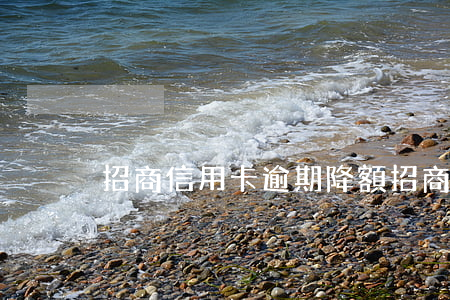 招商信用卡逾期降額(招商信用卡 逾期)