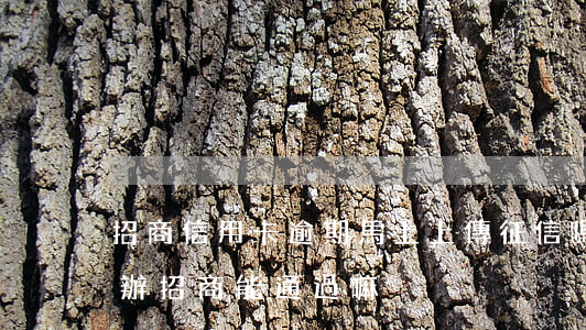 招商信用卡逾期馬上上傳征信嗎(征信逾期過辦招商能通過嘛)