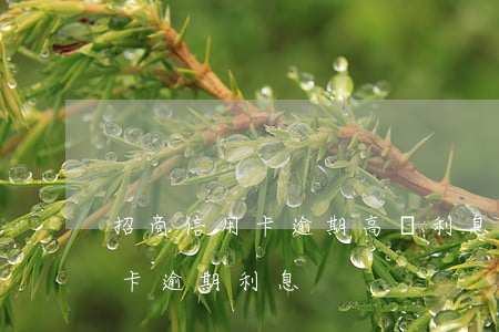 招商信用卡逾期高額利息怎么辦-招行信用卡 逾期利息