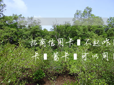 招商信用卡還不起咋辦 欠了招商銀行的信用卡儲蓄卡還可以用嗎