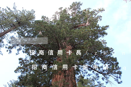 招商信用卡長(zhǎng)期逾期(有逾期招商信用卡能申請(qǐng)通過(guò)嗎)
