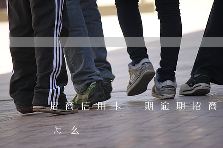 招商信用卡 長期逾期(招商信用卡 長期逾期會怎么樣)