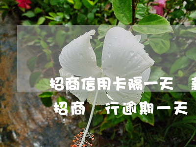 招商信用卡隔一天還款會(huì)逾期么(招商銀行逾期一天還款對信用有影響嗎)