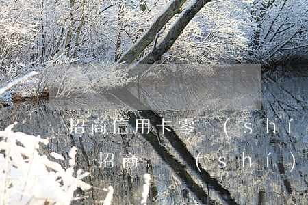 招商信用卡零時(shí)額度逾期了怎么辦(招商臨時(shí)額度逾期怎么辦)