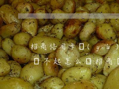 招商信用卡預(yù)借現(xiàn)金還不起怎么辦(招商銀行的預(yù)借現(xiàn)金占用信用卡額度嗎)