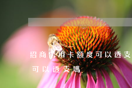 招商信用卡額度可以透支嗎(招商信用卡額度可以透支嗎)