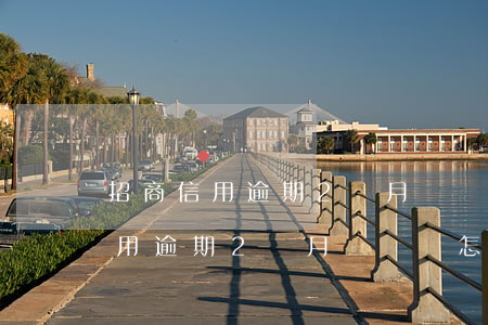 招商信用逾期2個月沒錢還怎么辦-招商信用逾期2個月沒錢還怎么辦呢