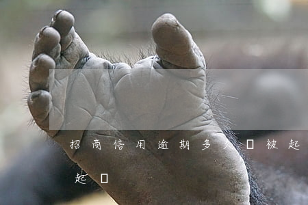 招商信用逾期多久會被起訴 招商逾期幾個月起訴