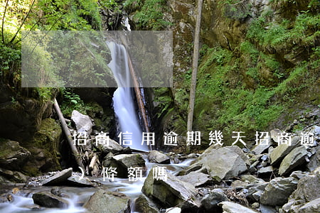 招商信用逾期幾天(招商逾期幾天會(huì)降額嗎)