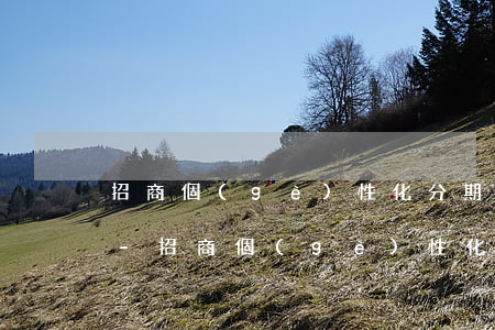 招商個(gè)性化分期再次逾期幾天作廢-招商個(gè)性化分期再次逾期幾天作廢了