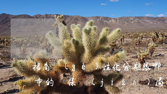 招商個(gè)性化分期跟哪個(gè)城市的銀保監(jiān)局投訴-招商個(gè)性化分期跟哪個(gè)城市的銀保監(jiān)局投訴有關(guān)