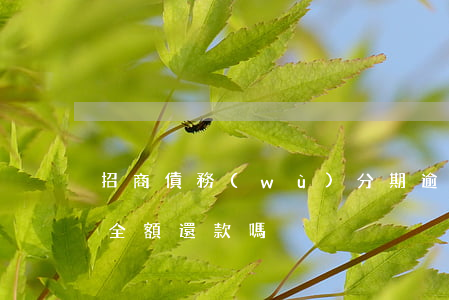 招商債務(wù)分期逾期(招商逾期后必須全額還款嗎)