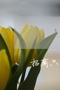 招商六千多塊錢逾期 招商逾期7天