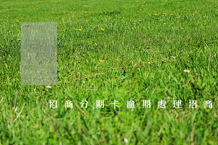 招商分期卡逾期處理(招商信用卡 逾期)