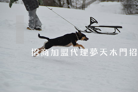 招商加盟代理(夢天木門招商加盟代理)