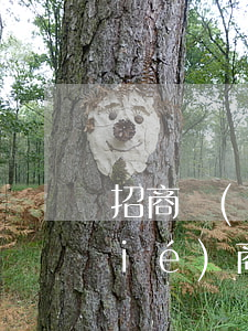 招商協(xié)商個性化分期 招商協(xié)商個性化分期能成功嗎