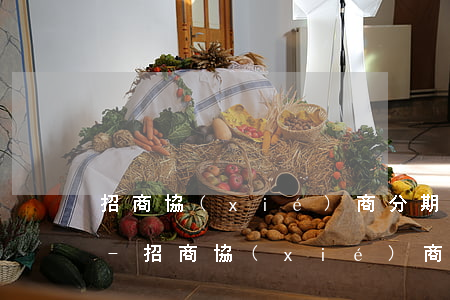 招商協(xié)商分期還款 同意了怎么辦-招商協(xié)商分期還款 同意了怎么辦