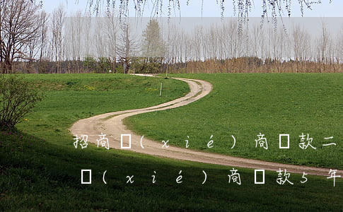 招商協(xié)商還款二次逾期(招商銀行協(xié)商還款5年成功)
