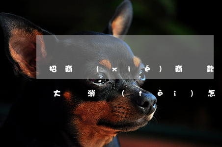 招商協(xié)商還款說(shuō)有大額消費(fèi)怎么辦-招商協(xié)商還款說(shuō)有大額消費(fèi)怎么辦呢