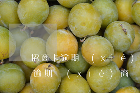 招商卡逾期協(xié)商還款(招商信用卡逾期協(xié)商還款技巧)