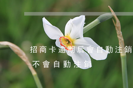 招商卡逾期后會自動注銷嗎-招商銀行卡會不會自動注銷