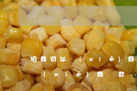 招商可以協(xié)商還款嗎-招商可以協(xié)商還款嗎