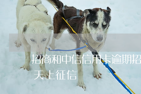 招商和中信信用卡逾期(招商信信用卡逾期幾天上征信)