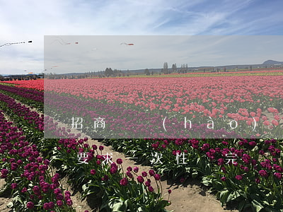 招商幾號(hào)還款不算逾期(招商逾期要求一次性還完)