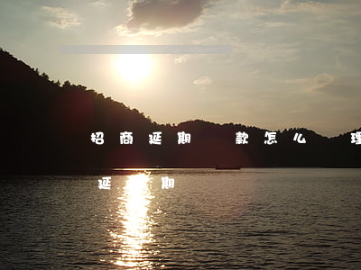 招商延期還款怎么辦理(招商銀行信用卡 還款延緩期)