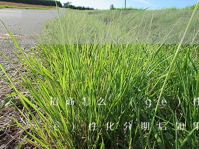招商怎么個(gè)性化分期-招商個(gè)性化分期后如果再逾期怎么辦