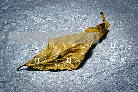 招商怎么申請(qǐng)掛賬停息(招行申請(qǐng)停息掛賬材料)