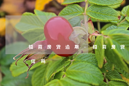 招商房贷逾期-招商房贷逾期一天会影响征信吗