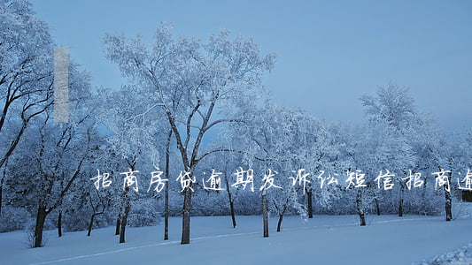 招商房贷逾期发诉讼短信 招商逾期立案通知