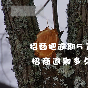 招商把逾期5万移交给律师最快几天找上门(招商逾期多久上门)