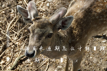 招商未逾期怎么才能辦理分期上海-招商沒逾期可以協(xié)商分期嗎
