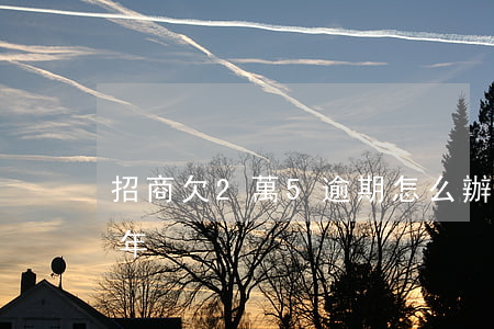 招商欠2萬5逾期怎么辦（招商欠2萬逾期4年）