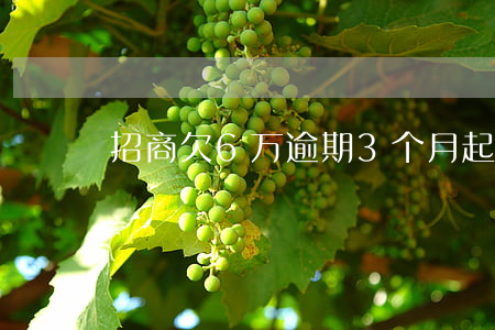 招商欠6万逾期3个月起诉
