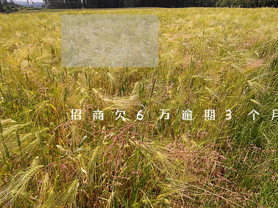 招商欠6万逾期3个月起诉广发