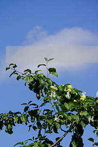 招商欠6萬(wàn)逾期3個(gè)月起訴（招商額度5萬(wàn)逾期三期銀行要起訴）