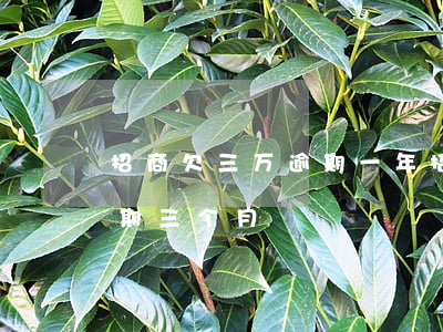 招商欠三万逾期一年（招商信用卡欠款1万逾期三个月）